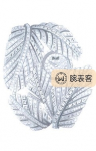 伯爵GOLDEN OASISG0A44137