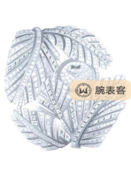 伯爵GOLDEN OASISG0A44137