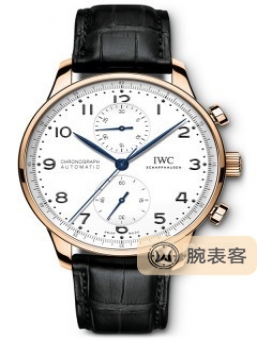 IWC万国表周年纪念系列 IW371603