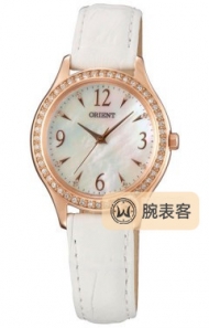 东方双狮女表系列FQC10005W