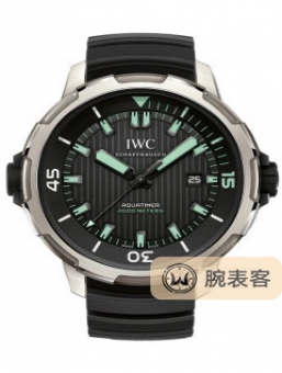 IWC万国表海洋时计 IW358002
