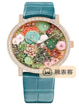 伯爵GOLDEN OASISG0A44119